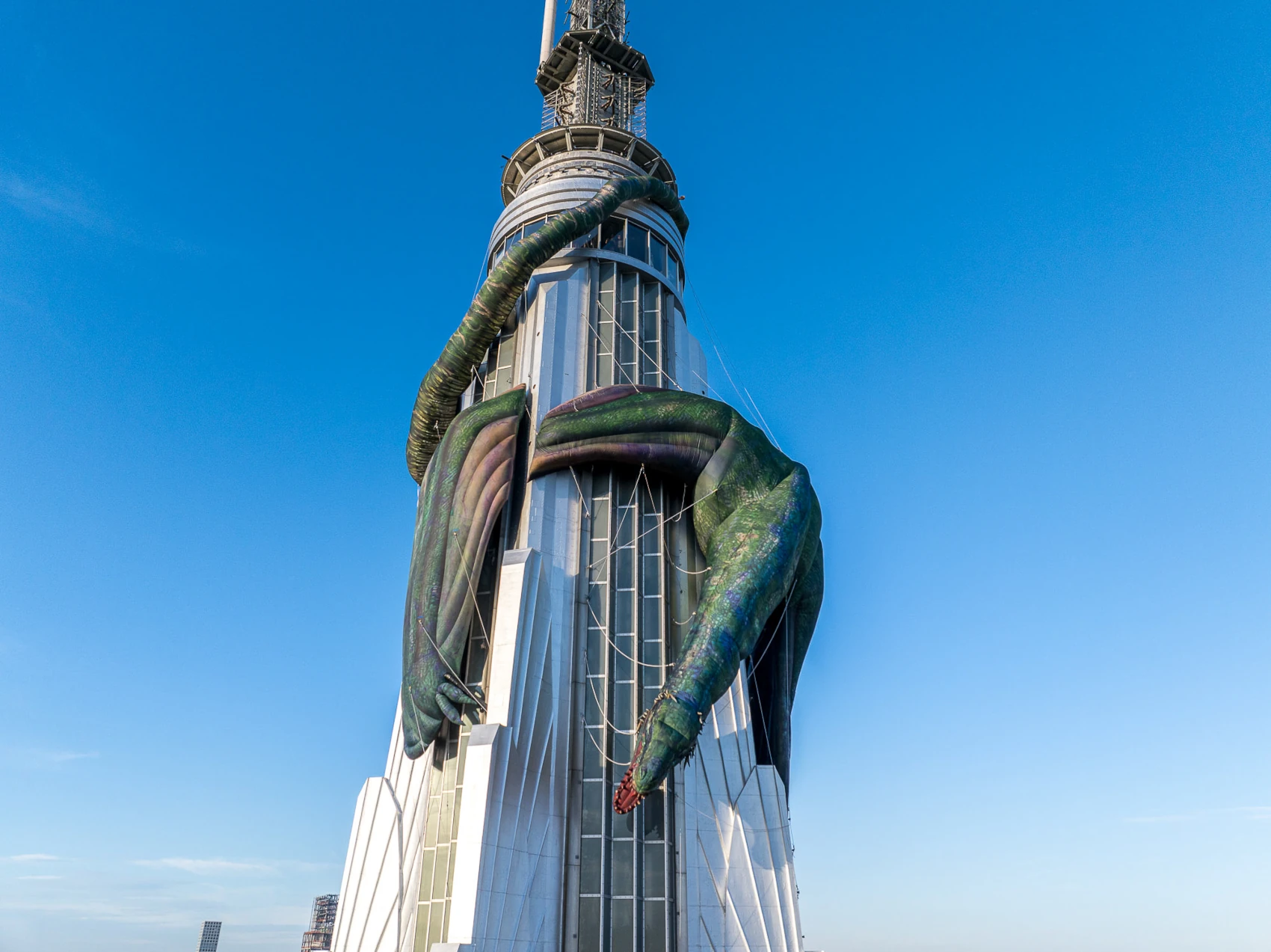 Project Image 10